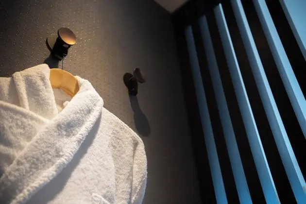 Holiday Inn Paris CDG Airport, an IHG Hotel - Oda