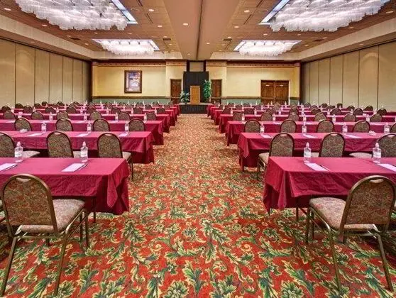 Holiday Inn Rushmore Plaza - İş / Konferans