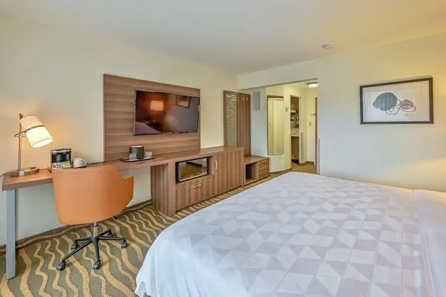 Holiday Inn San Jose La Sabana, an IHG Hotel - Oda