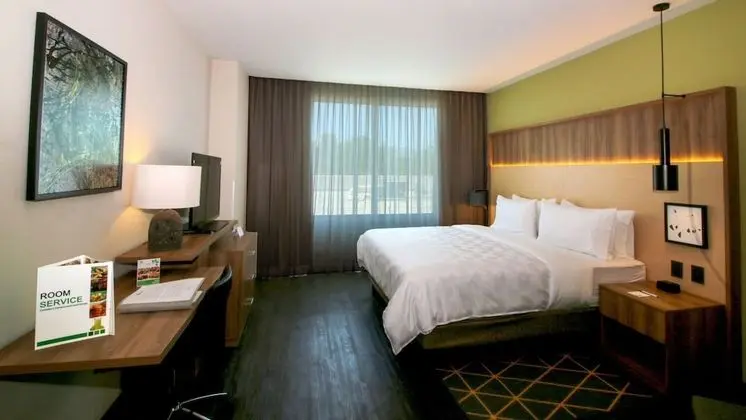 Holiday Inn San Luis Potosi Quijote, an IHG Hotel - Oda