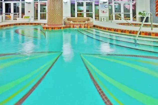 Holiday Inn Sarasota - Airport - Havuz