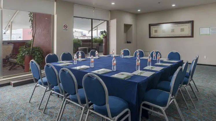 Holiday Inn Hotel & Suites Cd. de México Zona Rosa - Genel