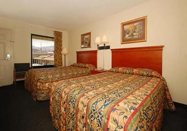 Holiday Inn Hotel & Suites Pigeon Forge Convention