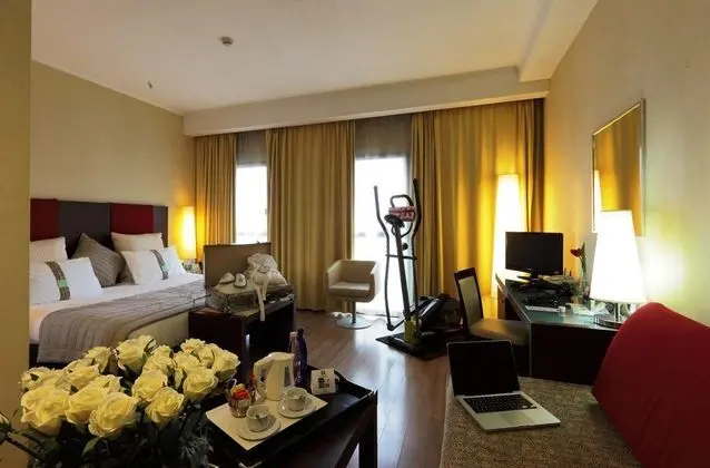 Holiday Inn Turin-Corso Francia - Oda