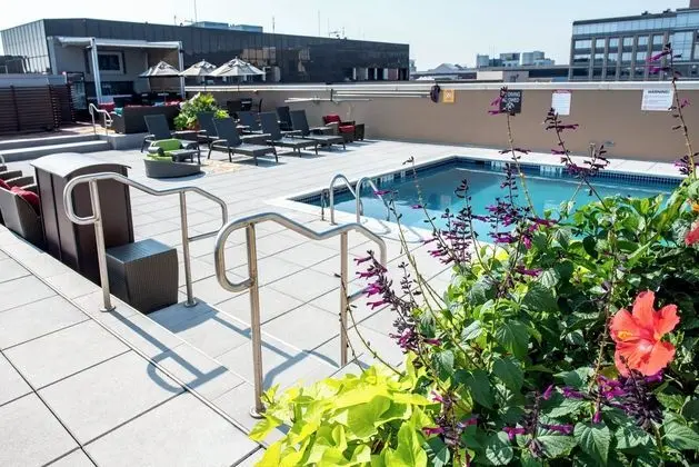 Holiday Inn Washington Capitol - National Mall - Havuz