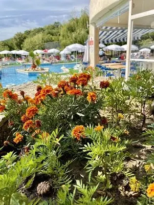Holiday Park - Dış Mekan
