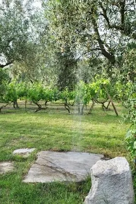 Holiday Resorts for 6 Persons, With Swimming Pool - Dış Mekan