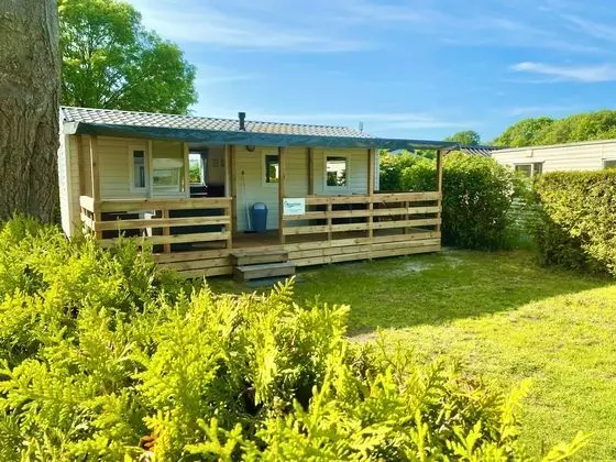 Holidaychalets Zuidlaren Tynaarlo - Öne Çıkan Resim