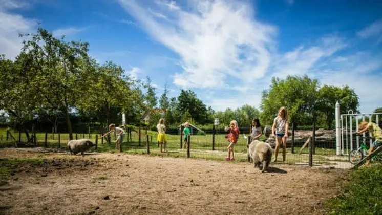 Holidayhome 6 Persons - Kon Emmaweg 26 Vrouwenpolder Uitspanning Oranjezon - Öne Çıkan Resim