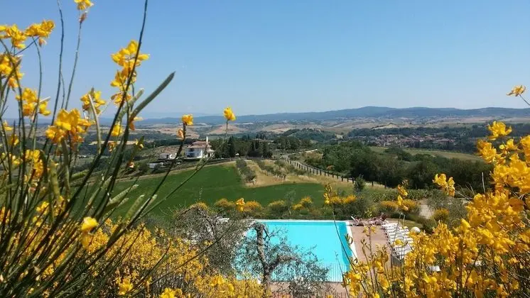 Holidays in Apartment With Swimming Pool in Tuscany Siena