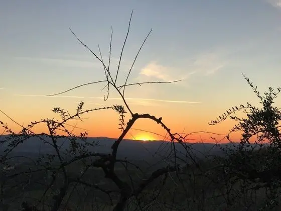 Holidays In The Heart Of Chianti