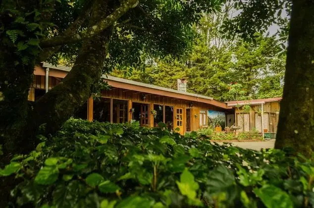 Hotel Holístico Monteverde - Lobi