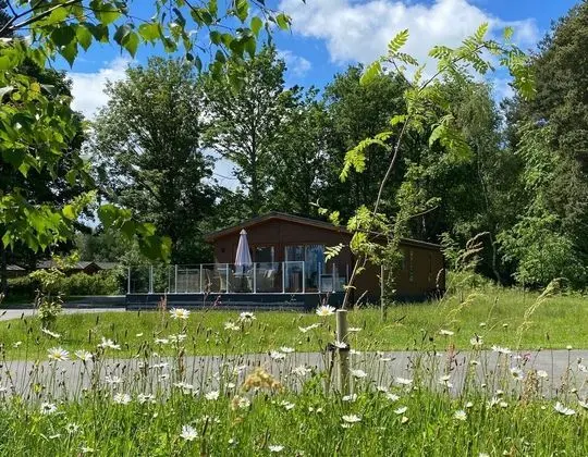 Hollicarrs - Honeycomb Lodge - Öne Çıkan Resim