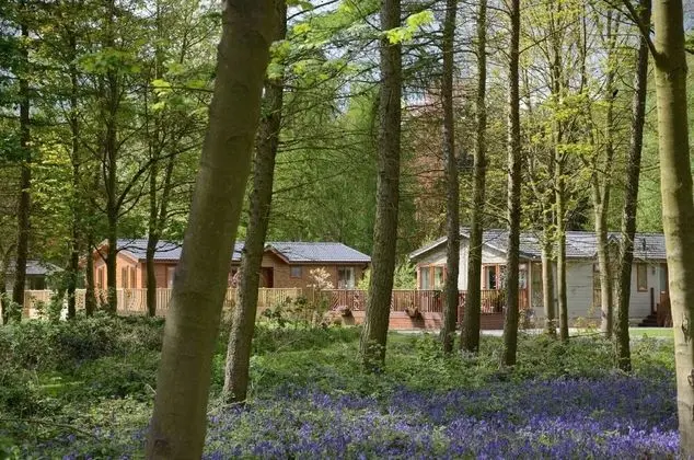 Hollicarrs - Kingfisher Lodge