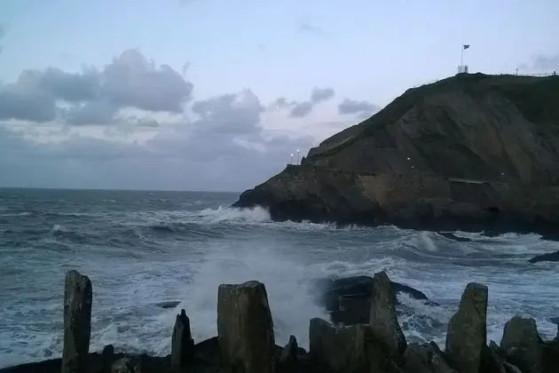 Hollies and Ilfracombe Harbour View - Öne Çıkan Resim
