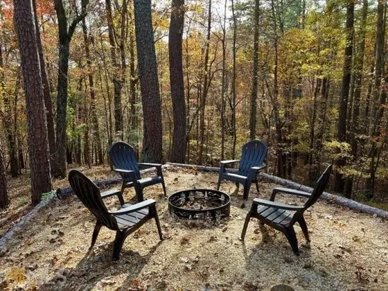 Hollow Tree Hideaway - Coosawattee River Resort - Oda