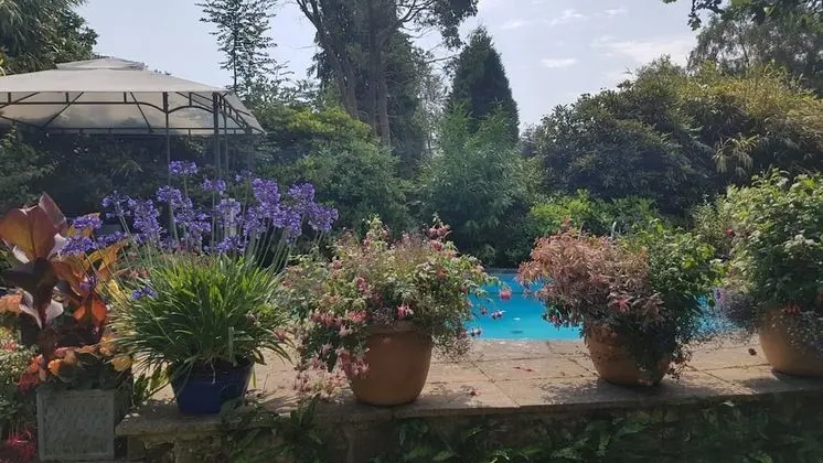 Holly House - Havuz