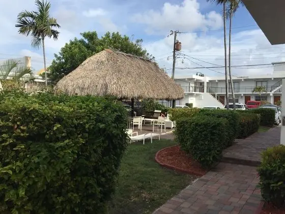 Hollywood Beach Flamingo