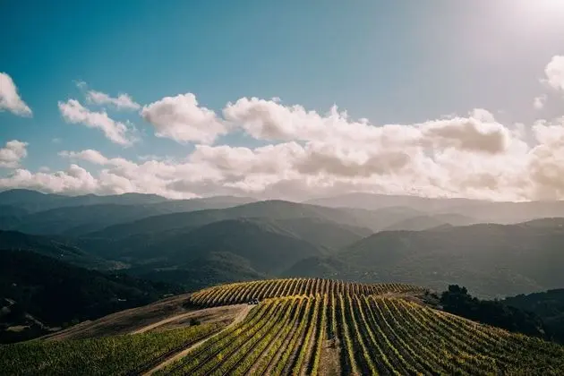 Holman Ranch Estate Vineyard & Winery - Dış Mekan