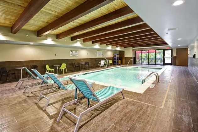 Home2 Suites by Hilton Frankfort - Havuz