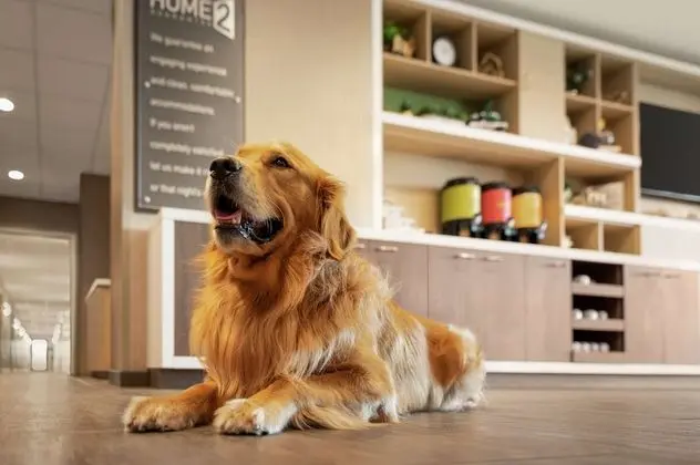 Home2 Suites by Hilton Greece Rochester - Lobi