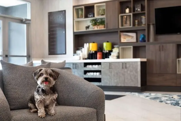 Home2 Suites by Hilton Huntsville - Lobi