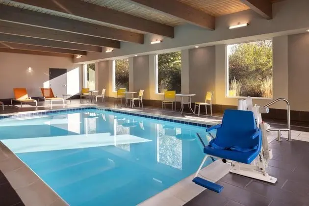 Home2 Suites by Hilton Jackson, MI - Havuz