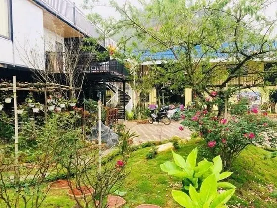 Homestay Discovery Sapa