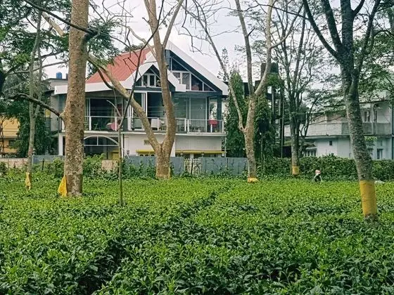 Homestay By the Tea Garden Dibrugarh
