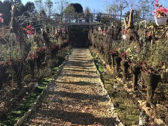 Homestay Vuon Hong Co - Dış Mekan