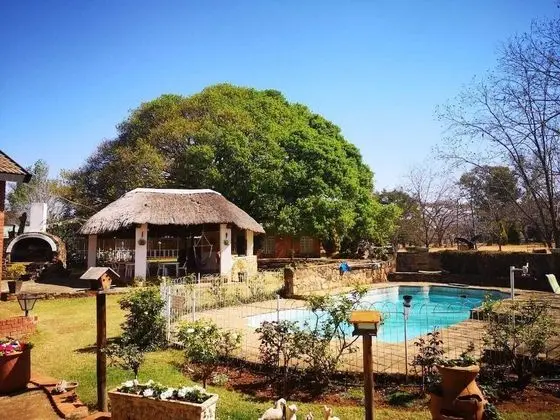 The Homestead Guest House and S-Catering - Havuz