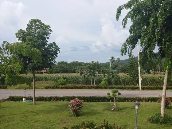 The Homestead Resort Pakchong - Dış Mekan