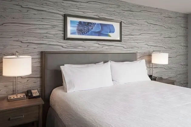 Homewood Suites by Hilton Ottawa Downtown - Oda