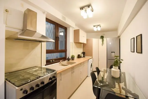 Homey - Strada Ion Campineanu 18a - Mutfak