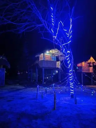 Homocation Beach Eco Camp