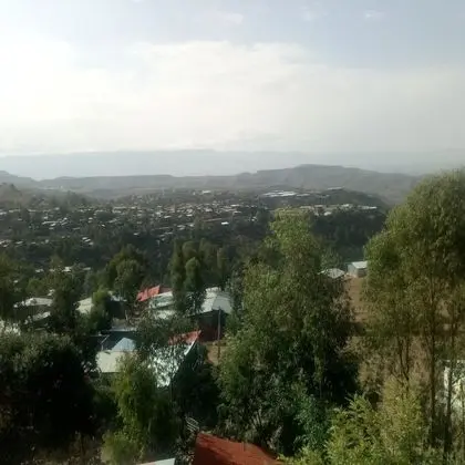 Honey Land Hotel