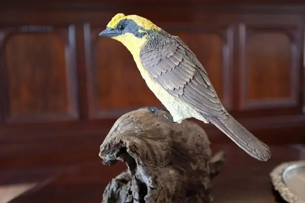 Honeyeater Cottage - İç Mekan