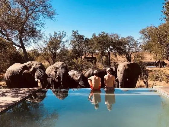 Honeyguide Tented Safari Camps - Montobeni - Öne Çıkan Resim