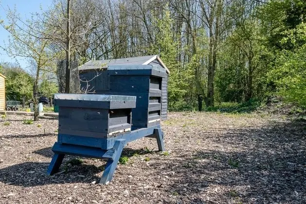Honeysuckle Farm Hut 7 - Suffolk Farm Holidays - İç Mekan