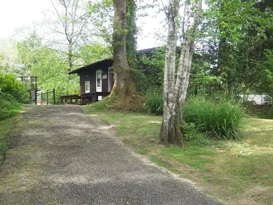 Honeysuckle Lodge set in a Beautiful 24 Acre Woodland Holiday Park - Dış Mekan