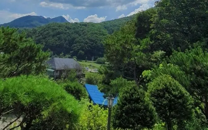 Hongcheon Bohemian Pension