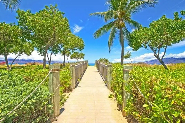 Honua Kai #316 - 1Br Condo - Genel