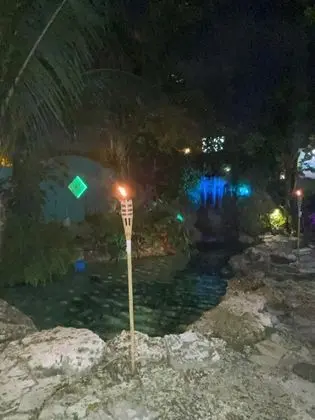 Hoosville Hostel - Havuz