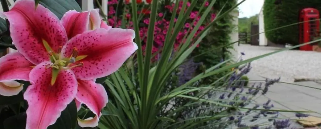 Hope Orchard Bed & Breakfast - Dış Mekan