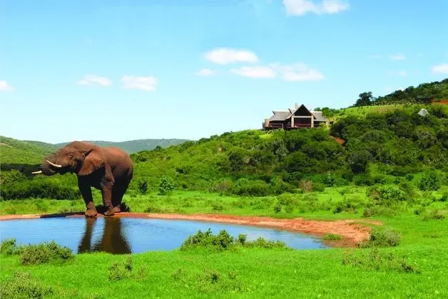 Hopewell Private Game Reserve - Öne Çıkan Resim