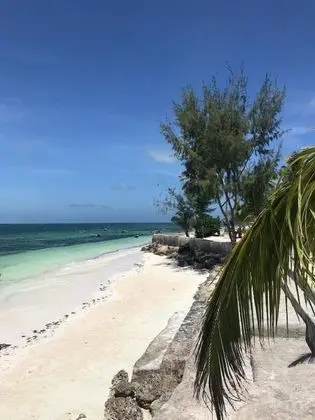 Horizon of Michamvi Beach - Plaj