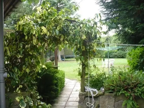 Hosefield Bed and Breakfast - Dış Mekan