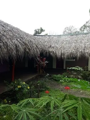 Hospedaje Bananas