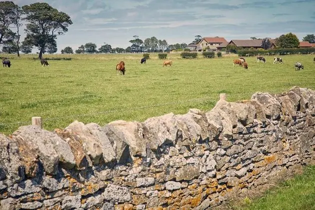 Host Stay Cheviot View