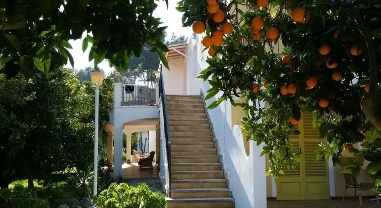 Hostal Amistad